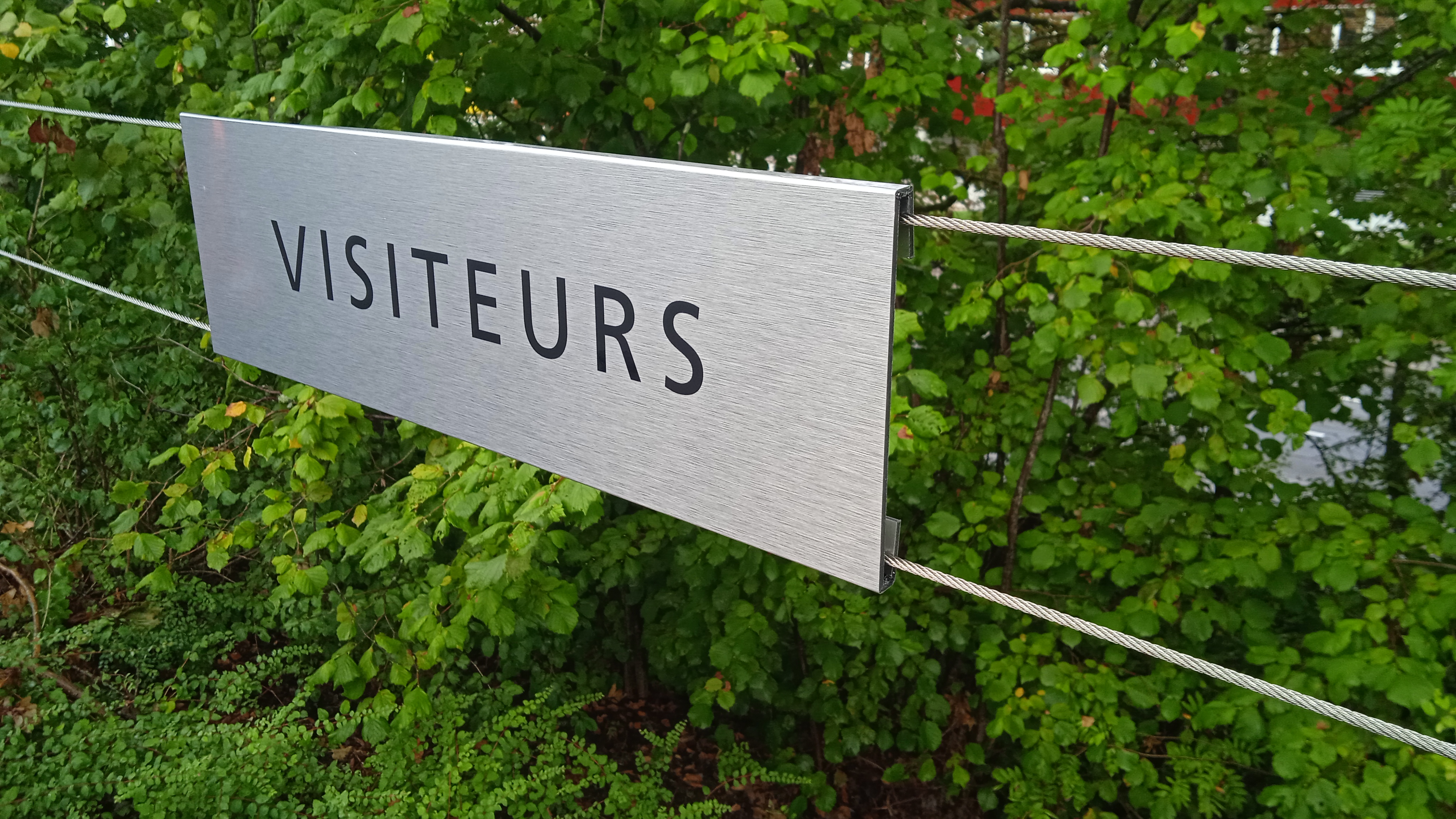 Lettrage Vitrine