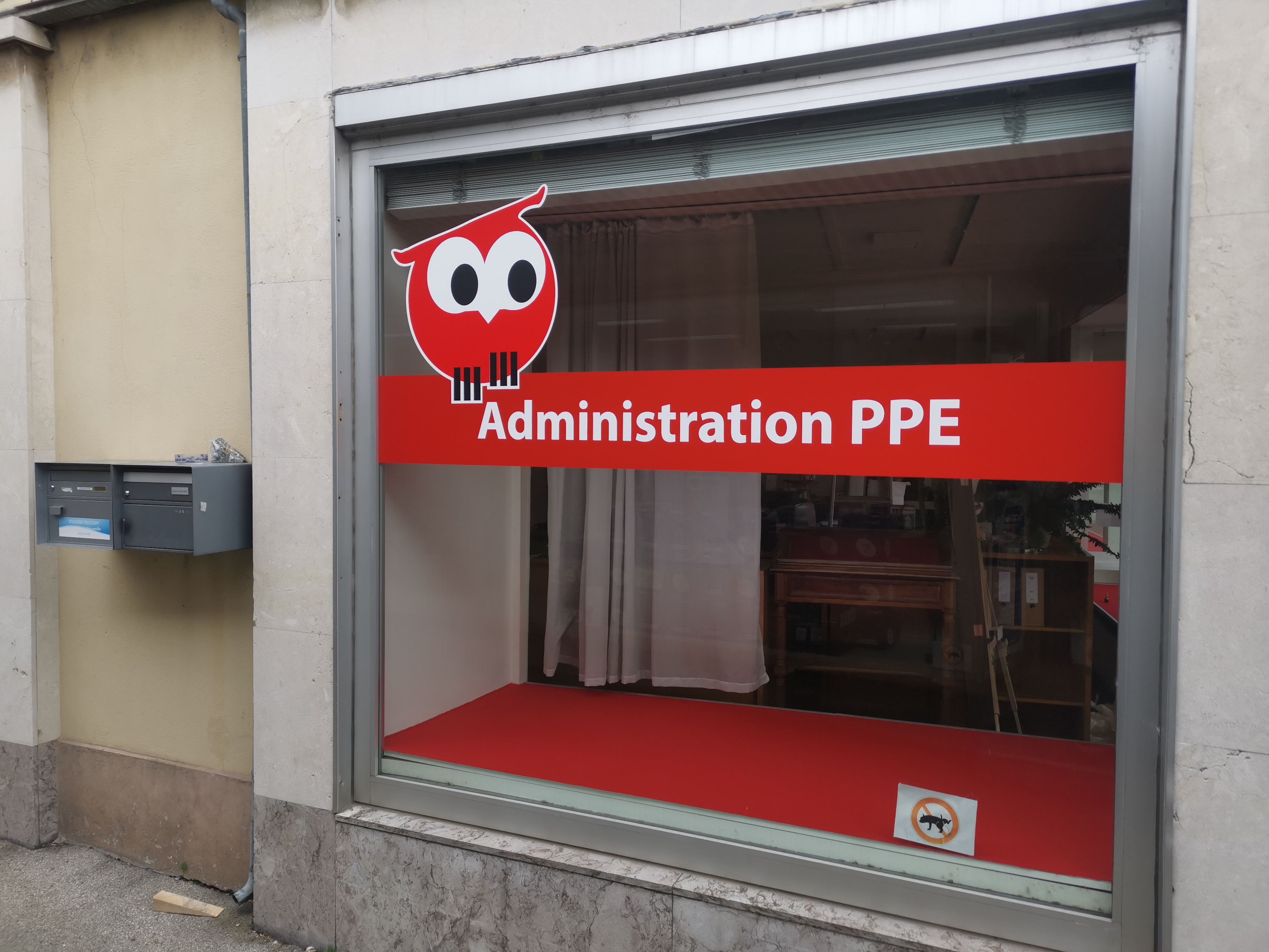 Window Graphics – Translucent Film