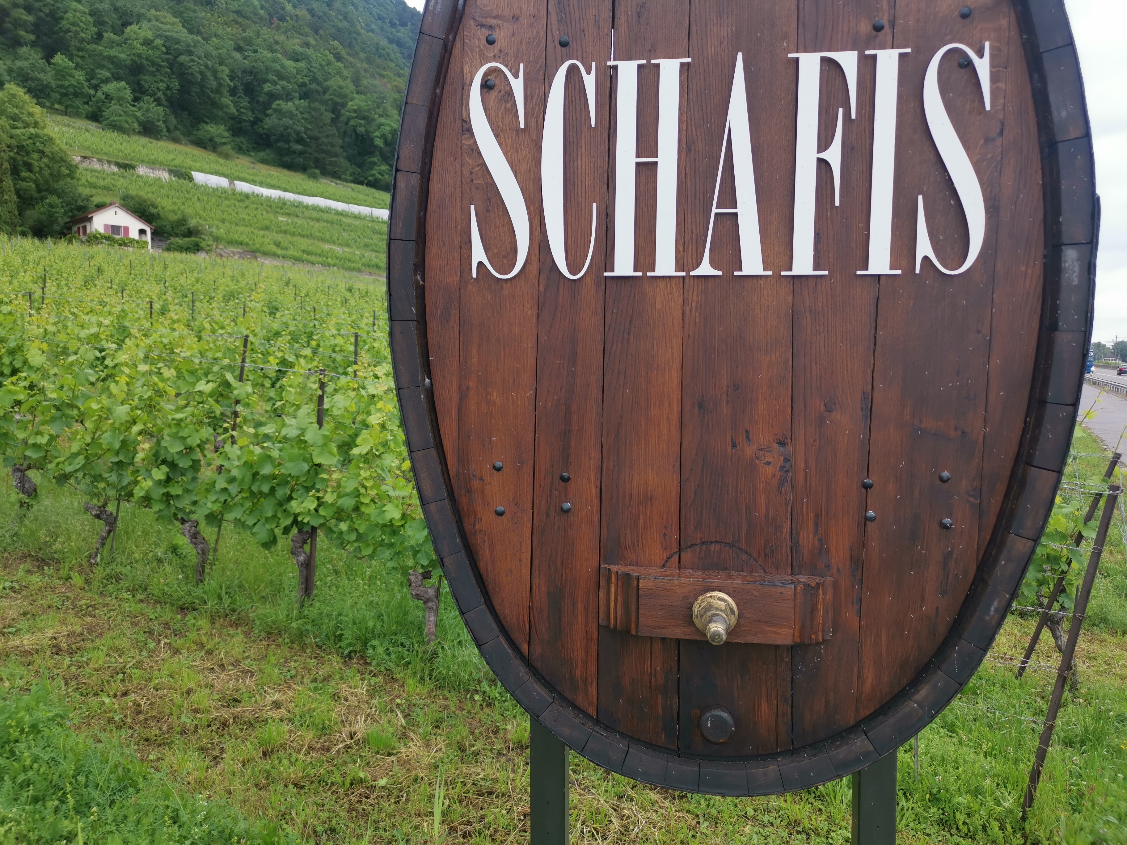 Metal Letter Signage – Schafis Vignerons